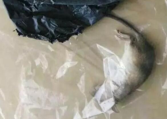 台湾三级伦理片播放