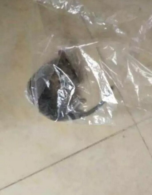 五十六十老熟女HD60