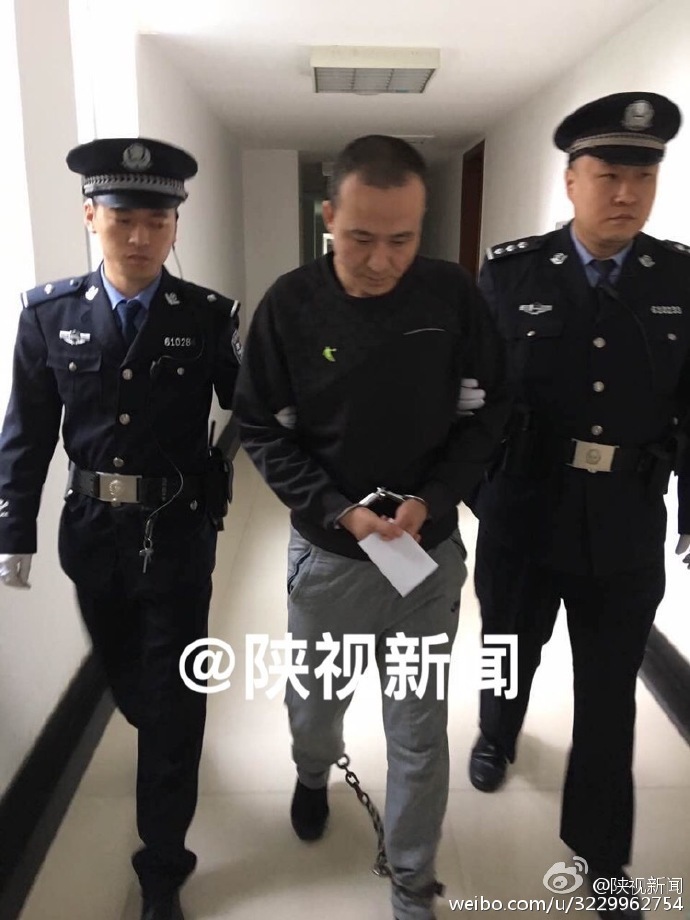 张柏芝两腿之间毛毛图片
