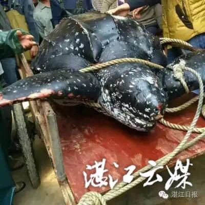 星空无限传媒