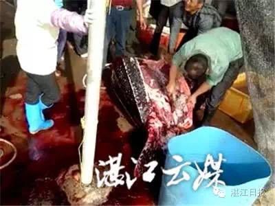 国产 丝袜 另类 精品 综合