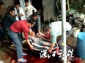 黄色网站三级片农村乡下在大街上操B