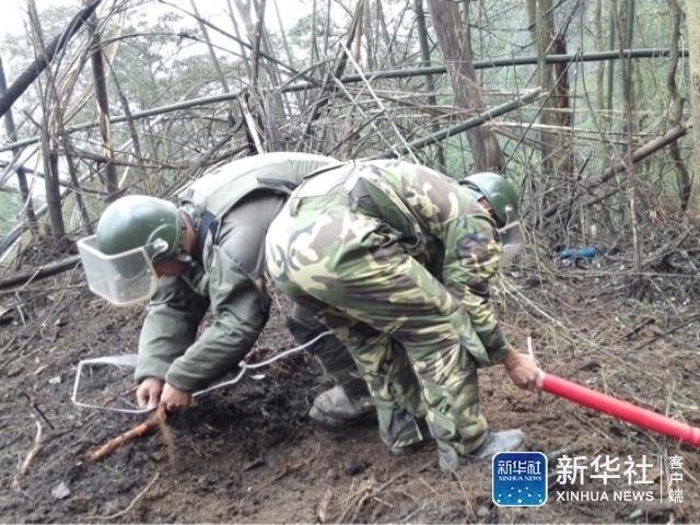 五十路熟女無修正