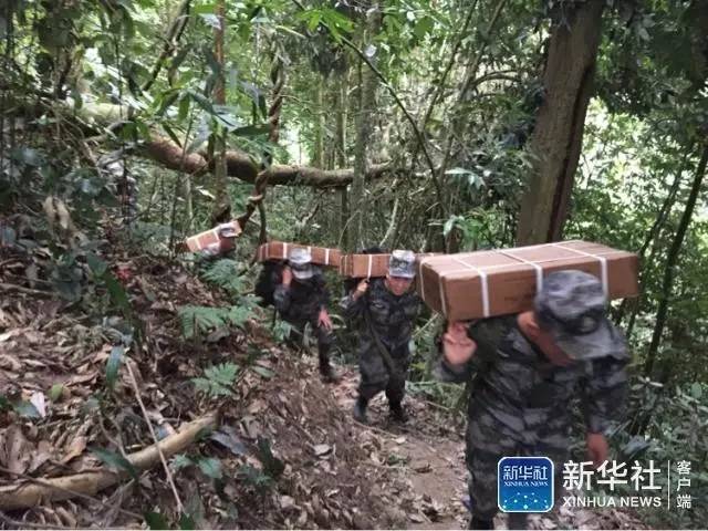 草莓丝瓜芭乐鸭脖奶茶翡翠
