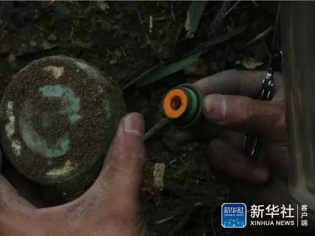 在线 色情 网
