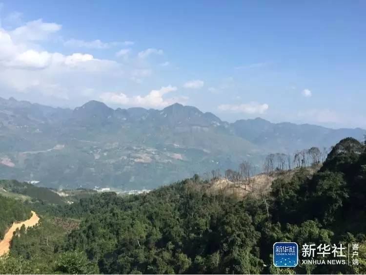 18禁美女裸体爆乳露P毛图片