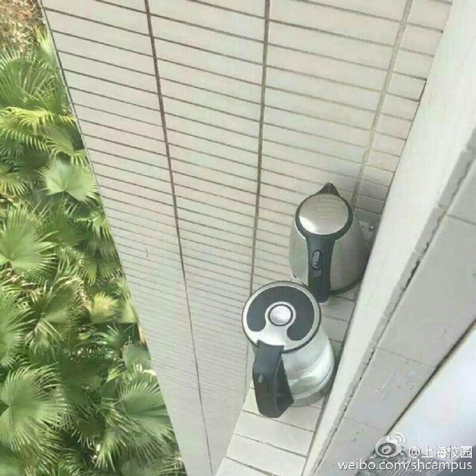 成人 免费 网站