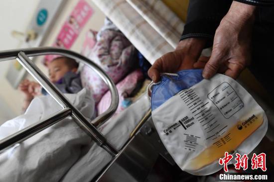 欧美西方狗操女入比网站