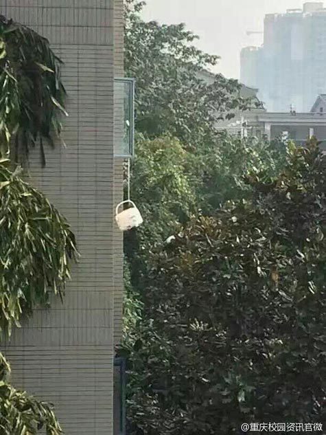 黄色网站观看