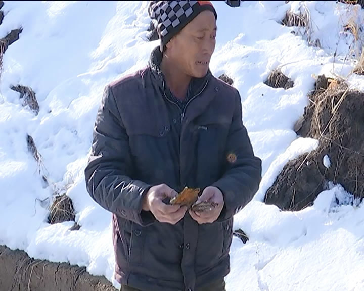黄色电影黄片