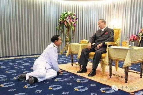 大象直播