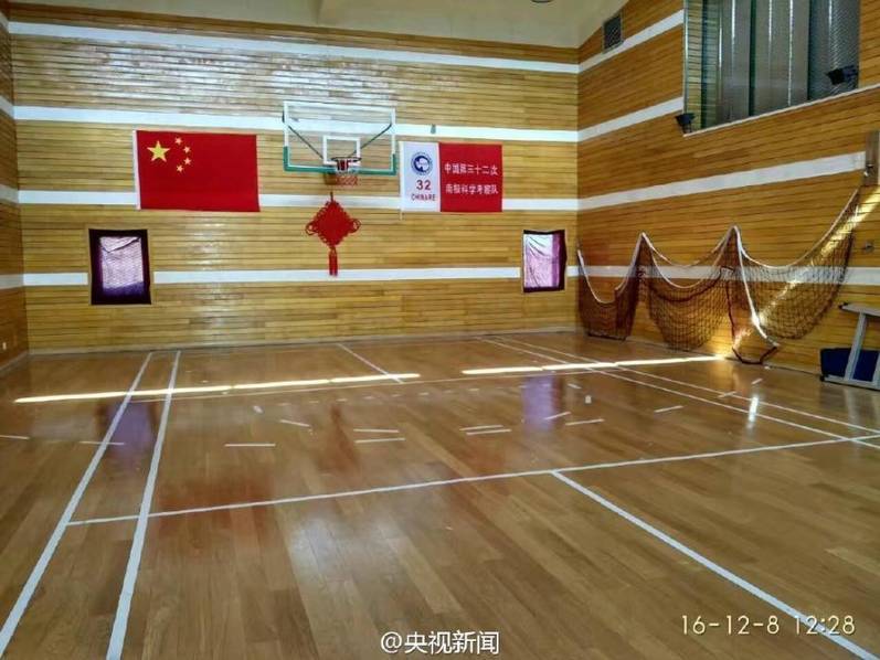 美女与狗操逼视频
