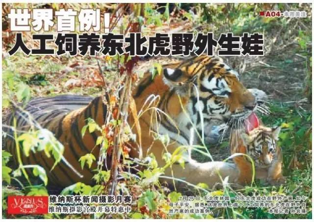 懂色