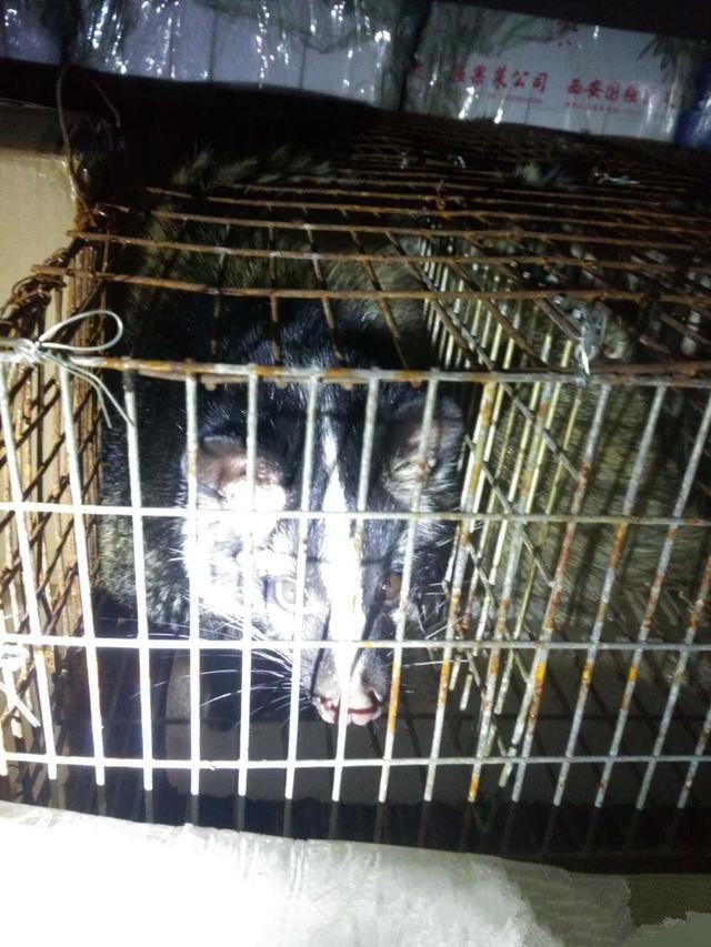 找点黄色视频看