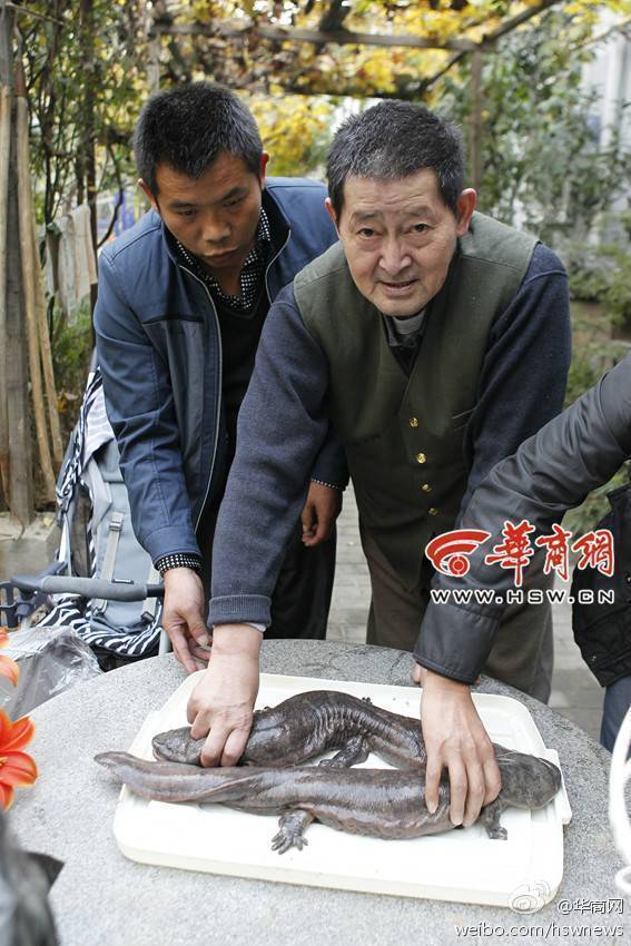 张津瑜