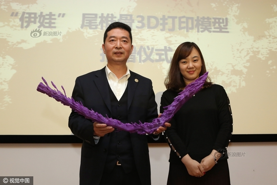 国产又爽 又黄 免费网站