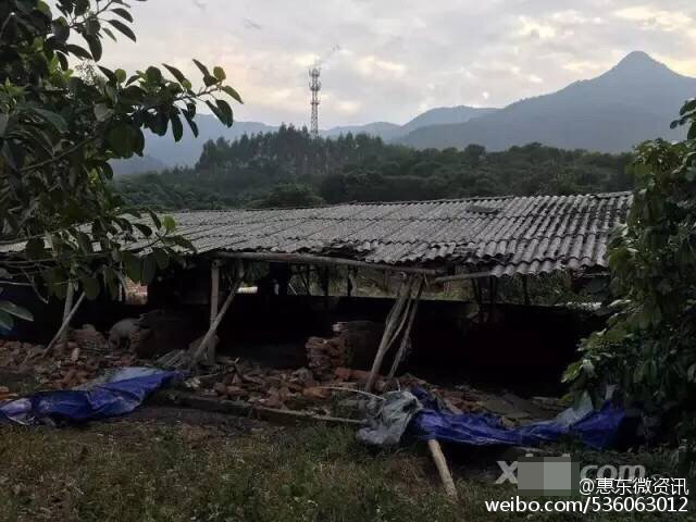 免费的黄色视频网站下载