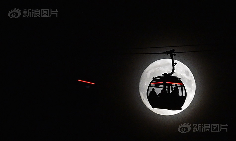 鲁大师影院在线观看电视视频