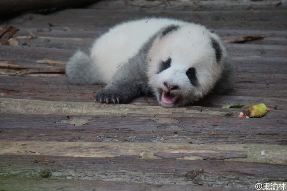 香港乱伦片