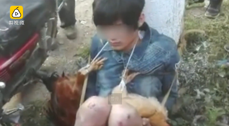 黄色片天天视频