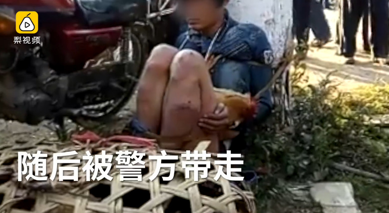 習呆呆