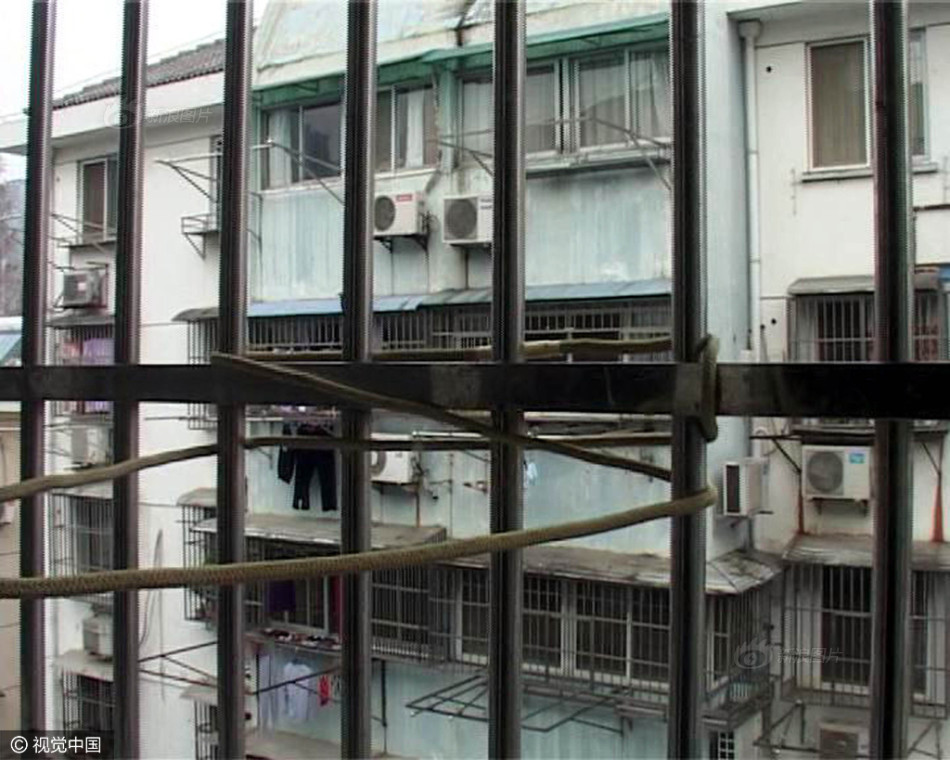 女free性zozo体内谢