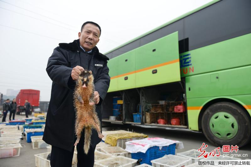 亚洲老妇色Xxxx欧美老妇性