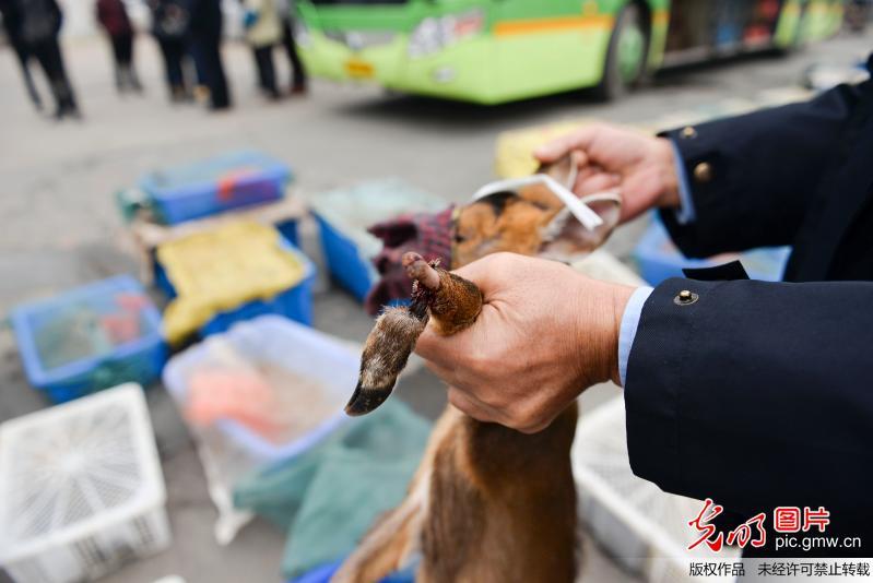 台灣口爆吞精