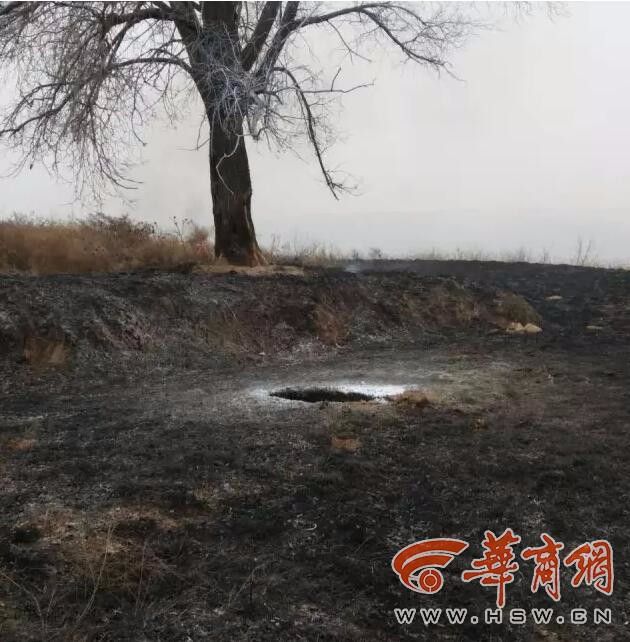 免费黄色毛片