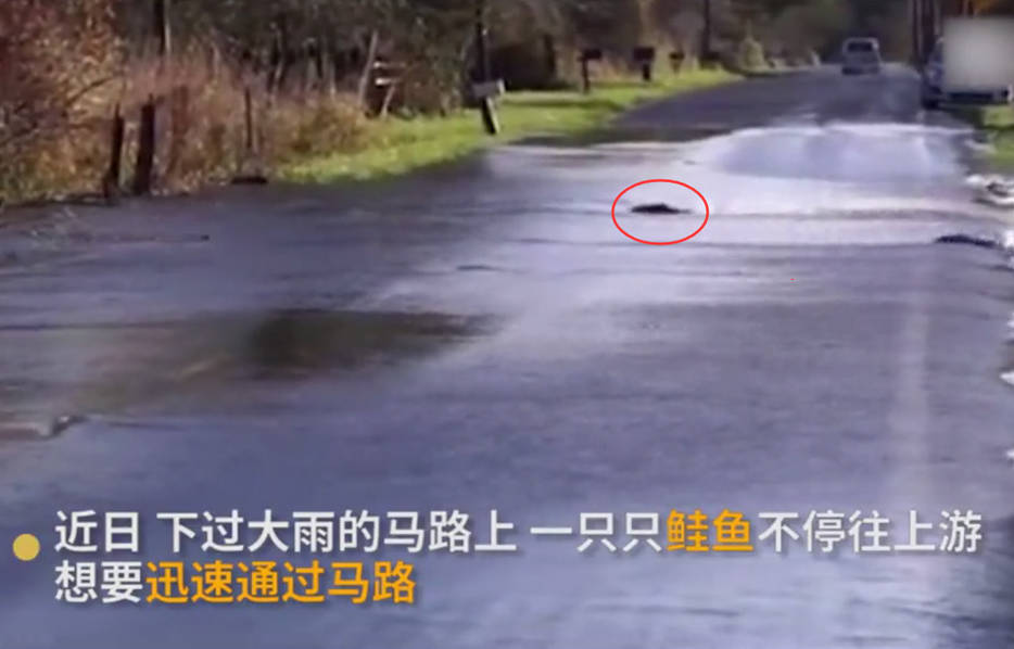 免费看裸体美女、??电影