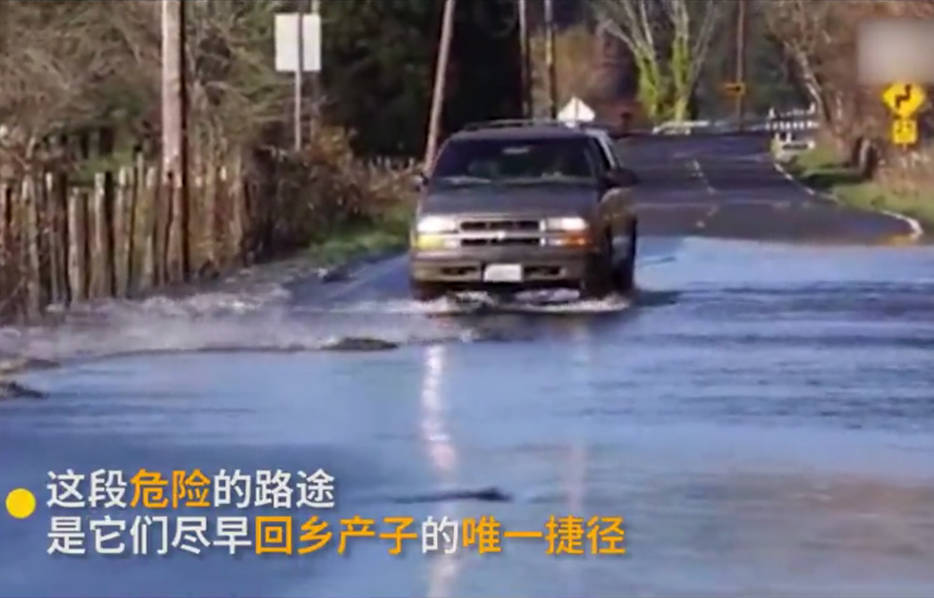 多人玩弄波多野结衣