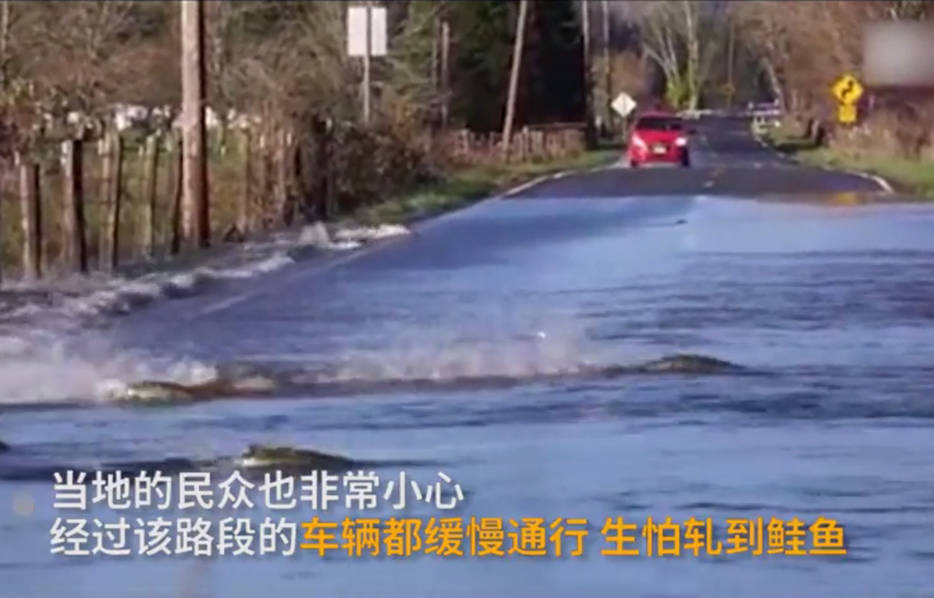 女车模露底视频