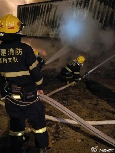 黑人操逼
