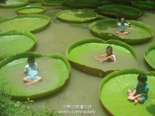 国产传媒在线