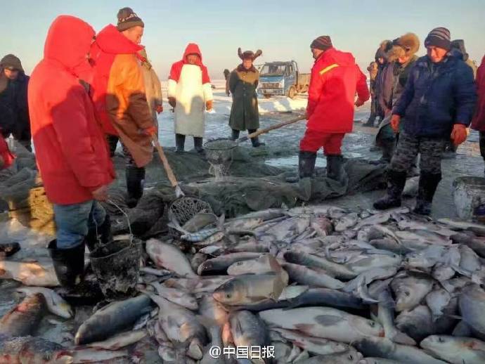 查干湖冬捕 一网3万多斤鱼