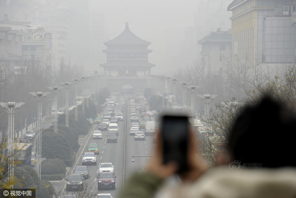 东京热成人版app下载