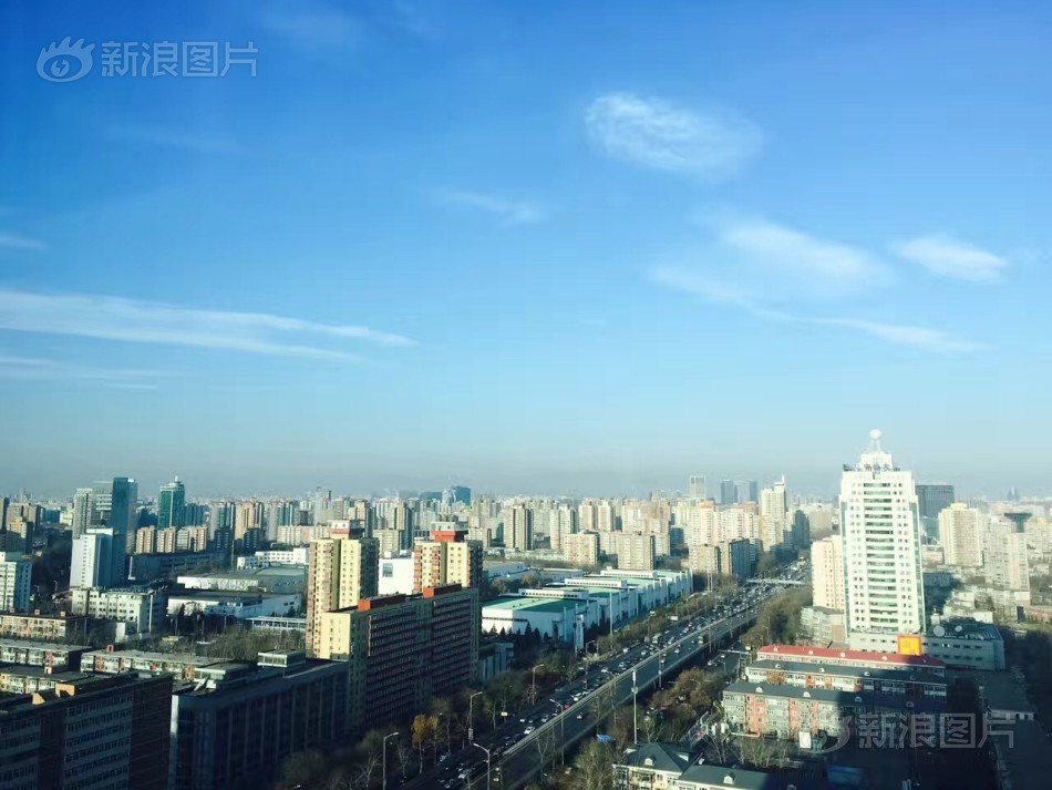 欧美浓毛少妇