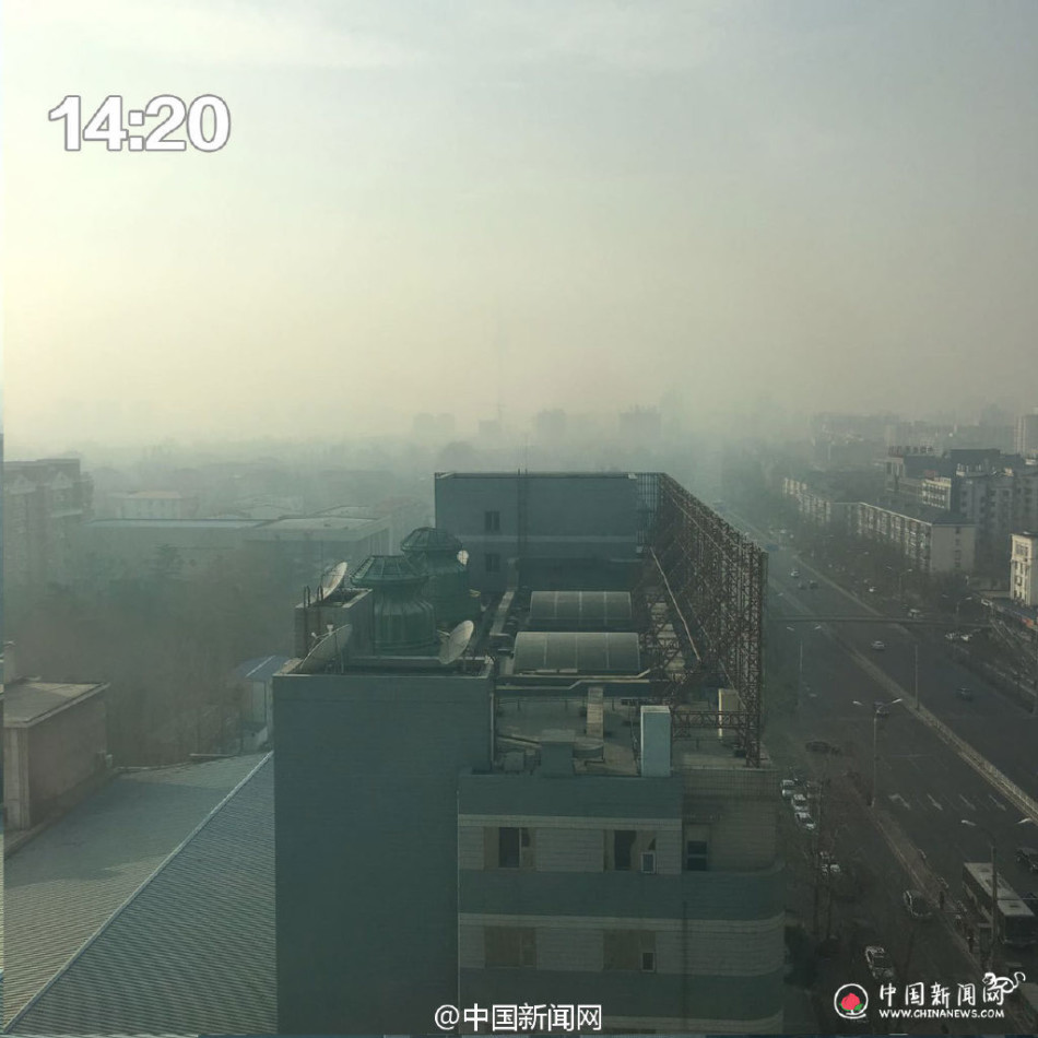 性爱特级无码视频
