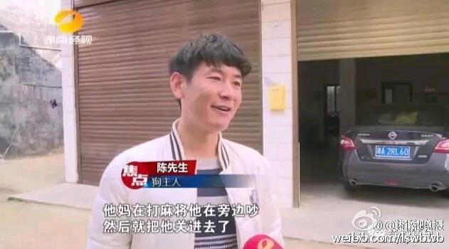 免费看B站直播APP下载