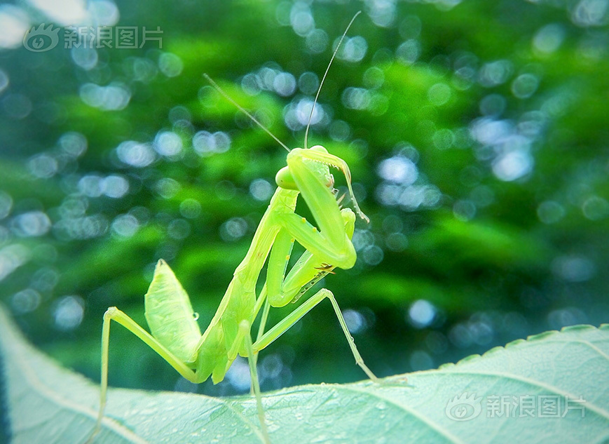 三级片视频欧美