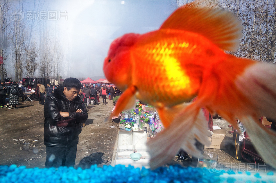 海外黄色网站看看