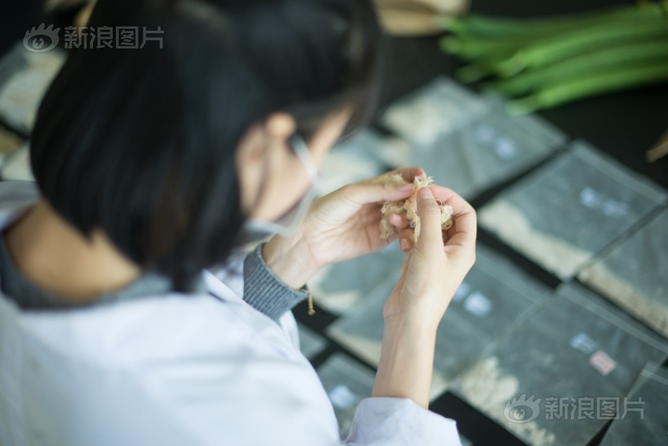 草莓视频www