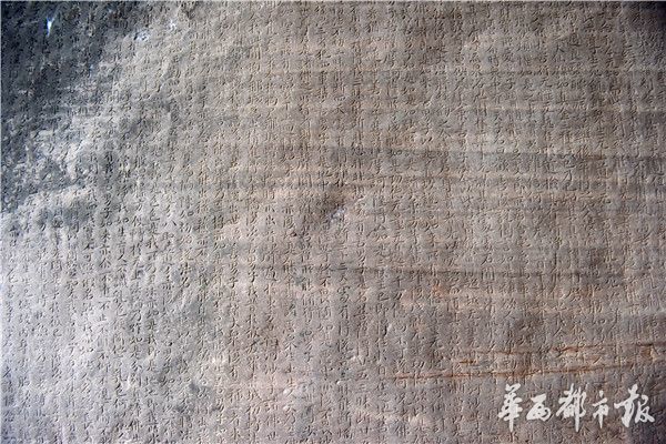 成人毛片网