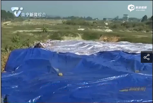 跳蛋自慰