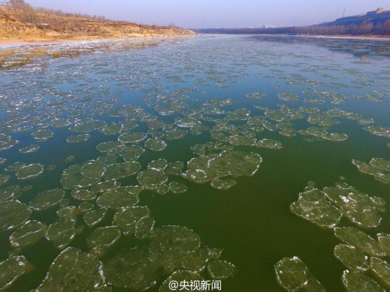 成人免费A片在线观看直播96