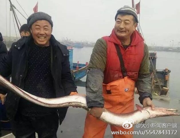 色呦