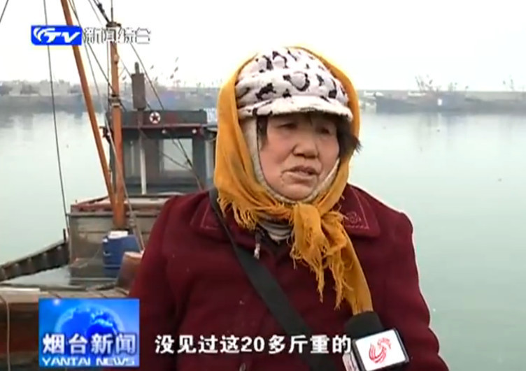 国产做受   高潮996