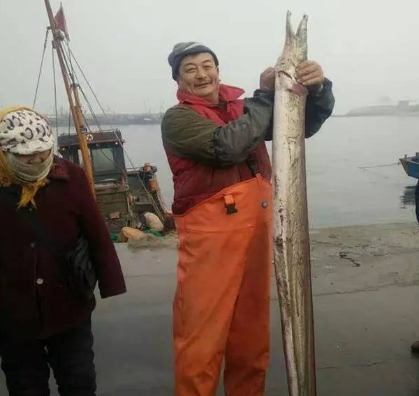 三浦惠理子与义子伦理