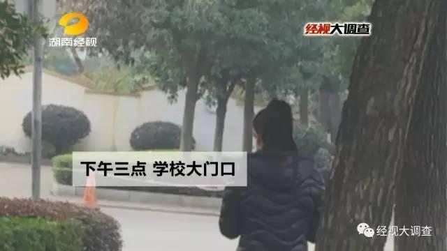 免费能直接在线观看黄的视频