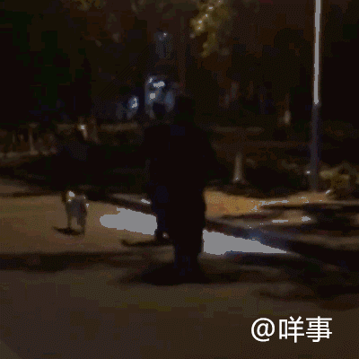 很黄很黄的视频
